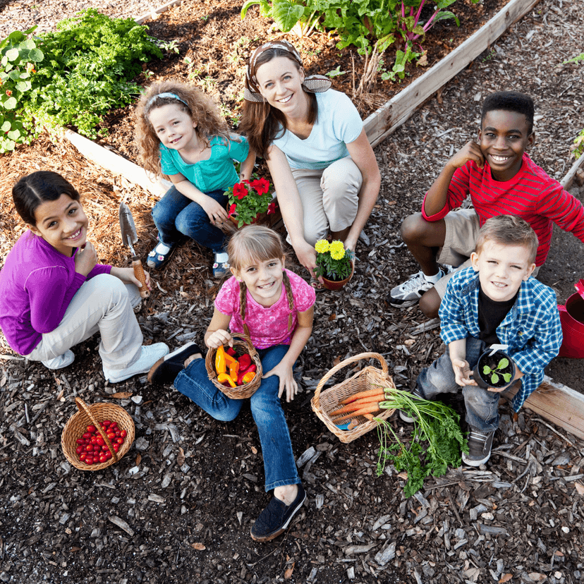 Classroom setting representing health education