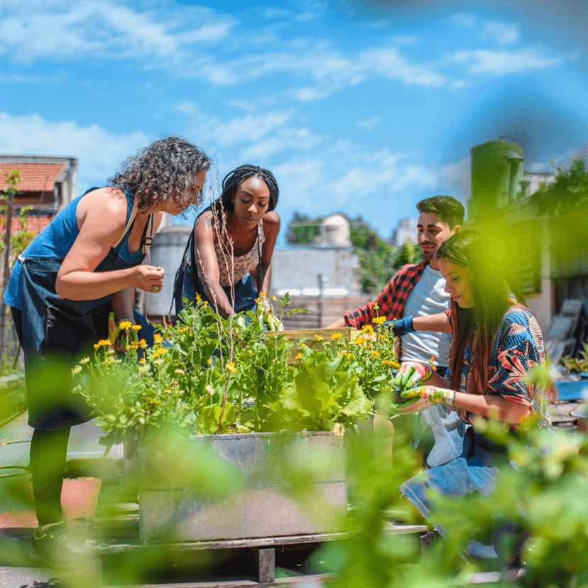Planting representing scaling health solutions